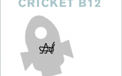 Why B12 From Crickets Is Better
